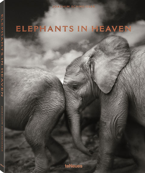 Joachim Schmeisser: Elephants in Heaven	HC 27,5 x 34 cm, 176 Seiten, 15 Farb- und 93 Schwarz-Weiß-FotografienText: Deutsch, Englisch und FranzösischISBN: 978-3-96171-047-859,90 €teNeues Verlag