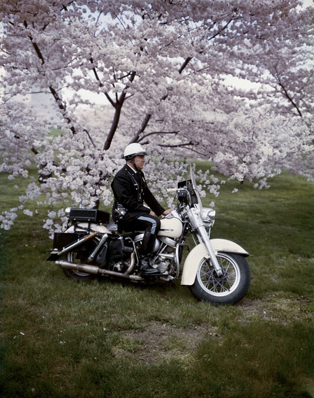 Springtime, Washington, 1965Dye Transfer, 42,5 x 34,1 cm© Evelyn Hofer, Estate Evelyn Hofer