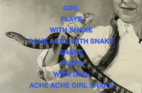 Clare Strand: "Snake" 2016, 101,6 cm x 152,4 cm, Archival Photographs on Giclee Hahnemühle Photo Rag 308gsm matt, Text im SiebdruckCourtesy Parrotta Contemporary Art