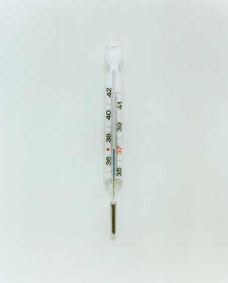 Fieberthermometer (Thermometer), 2010Inkjetprints printed on Hahnemühle paper34 x 42,5 cm© Claus Goedicke / SAGE Paris