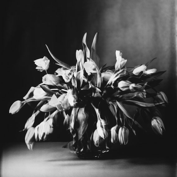 Susanna Kraus: "Tulpen IV", IMAGOgramm, 62 x 62 cm, Silbergelatineabzug vom Unikat auf Barytpapier, 2015
© Kraus_Kohlmayer