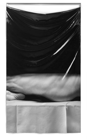 FREUDENTHAL / VERHAGENLeg and Sole, 2018Print: Pigment print on silk, silicone rubber, anodised aluminiumImage Size: 92 x 180 x 3 cmEdition: 3