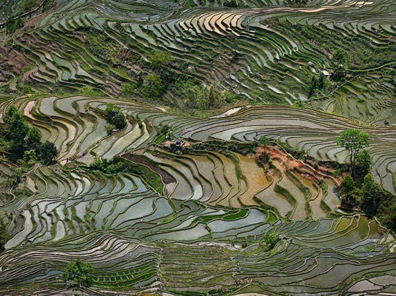 Edward BurtynskyRice Terraces #4, Western Yunnan Province, China2013, C-print, 99 x 132 cm© Edward Burtynsky