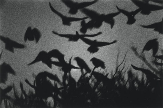 Lot 4179Masahisha Fukase"Kanagawa" (from 'The Solitude of Ravens'). 1978Later gelatin silver print 2008 
