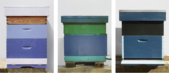 Beehives, Lilac & Wood, Beehives, Blue & Green and Beehives, Blue & Black, 2017Framed pigment print on baryta paper, optiwhite glass90 x 67 cm each / 107 x 227 cm8 + 1AP© Scheltens & Abbenes