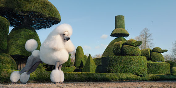 © Tim Flach, Topiary 2010