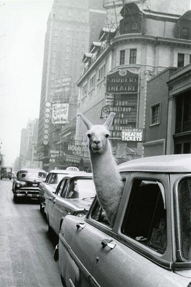 © Inge Morath / Magnum Photos, A Lama at Times Square, 1957.