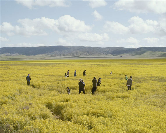 Louis Heilbronn 
Yellow Field, 2017
Digital C-print
1,27 x 1,01
© Galerie Polaris, Paris