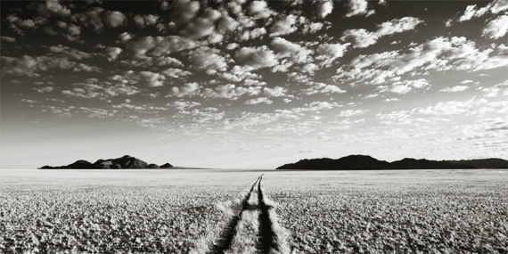 CHRIS SIMPSON Wolwedans Namibia VII, 2007
 Archival pigment print