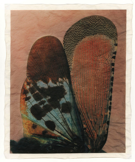 Gregor Törzs "à la couleur – Wing Wing 11" 2019, Archival-Pigment-Print auf Gampi-Papier© and courtesy Persiehl & Heine, Galerie für Fotografie 