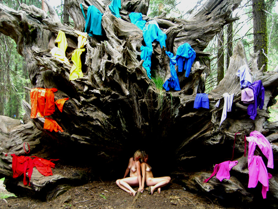 A.L. STEINER, UNTITLED, RAINBOW ROOTS, DIGITAL PHOTOGRAPH, DE/FROM: C.L.U.E. (COLOR LOCATION ULTIMATE EXPERIENCE), DIGITAL VIDEO, ROBBINSCHILDS + A.L. STEINER, 2007, COURTESY THE ARTISTS + DEBORAH SCHAMONI GALERIE