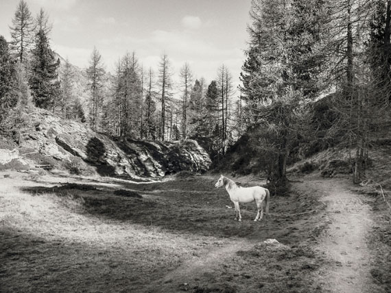 © Sammy Hart