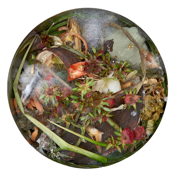 Annette Hiller: "Kompost 2", 2019, 30cm Durchmesser, Digitaldruck auf Leichtschaumplatte 
