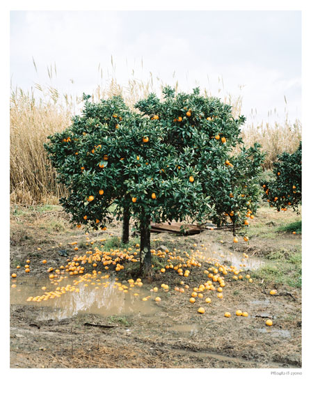 Eva Leitolf: Plantage, Rosarno, Italy, 2010, from the work Postcards from Europe, since 2006.