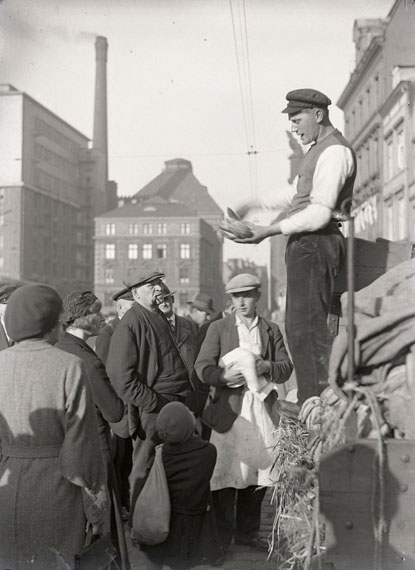 Fisch. Gemüse. Wertpapiere