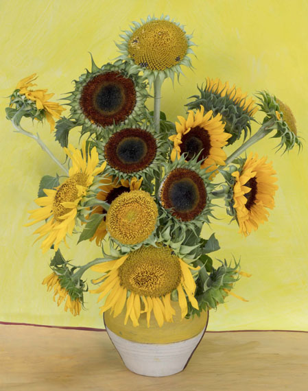Karin Borghouts: Sunflowers, 2018