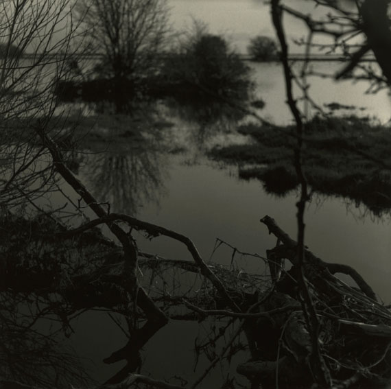 Ian Wiblin
Swamp, aus: Night Watch 
Serie von 48 Fotografien, 1995
Silbergelatineabzug, 30,5 x 30,5 cm
Courtesy by the artist © Ian Wiblin