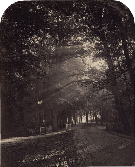 Lot 4061Hermann Wilhelm Vogel. "Bilder aus dem Thiergarten". 1866. 10 albumen prints in original portfolio.