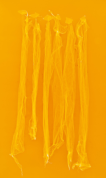 Frank Mädler: Sechs gelbe Folien119 x 71 cm, Fotogramm, Unikat 2018