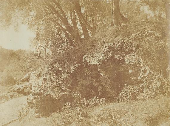 Giacomo CanevaStudy with Rocks and Trees, Campagna Romana, c. 1853 – 1855Albumenized salt print from paper negative, 26,6 x 34,2 cmEstimate 4,000 – 5,000 EUR Lot 857 / Auction 1161