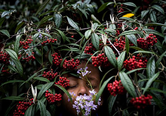 The Journal © Anne Ackermann 
"My son Luis is hiding with a bunch of spring flowers in a rowanberry shrub"