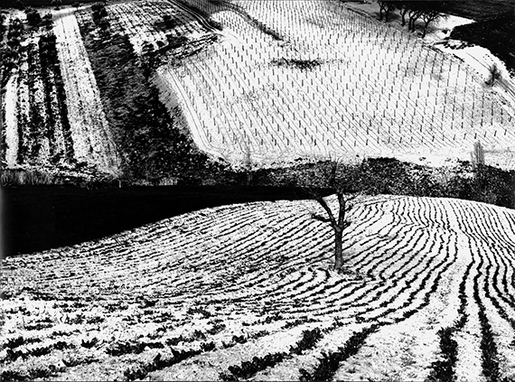 Mario Giacomelli, Metamorphosis of the Land, 1968/1980sGelatin Silver Print, 12 x 16 inchesSigned and stamped in ink on verso, Printed by the artistCourtesy Robert Klein Gallery, Boston