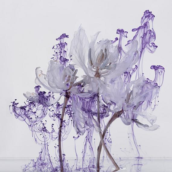 Kathrin Linkersdorff
Fairies IV/3, 2020
Archival Pigment Print, framed, museum glass
150 x 150 cm
Ed. 3