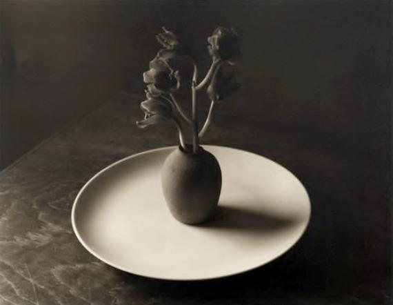 Jan Groover, 160, 1983, platinum-palladium contact print, 30,7 x 37,8 cm, ed. 10.
 © Jan Groover