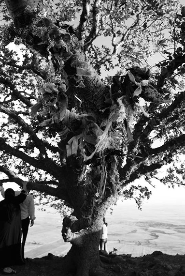 Guevara Namer: My Hometown: Tree of Wishes, 2010 © Guevara Namer