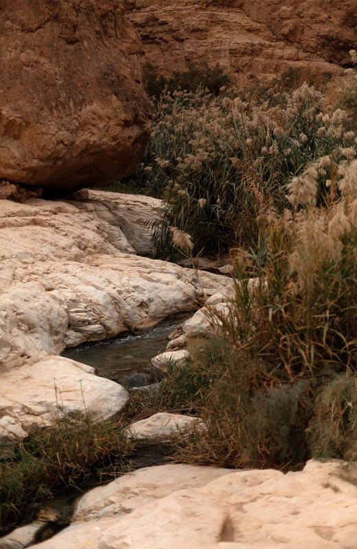 Ilanit Illouz, Wadi, From The Sinkholes series, 2021. Print on non-wollen paper, 136cm x 90cm. Courtesy of the artist.