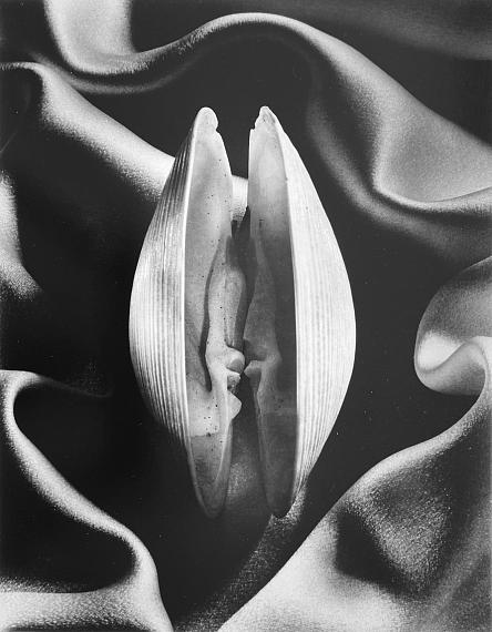 Ruth Bernhard: Shell in Satin, 1935Silvergelatine Print, 34 x 27 cm