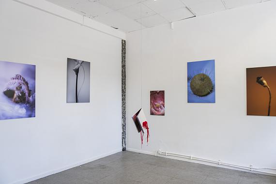 Installationsansicht "I'm here to open you" von Marie Schwarze, 2022