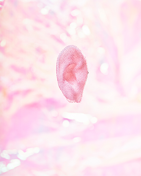 3D-bioprinted Ear Graft © Catherine Leutenegger