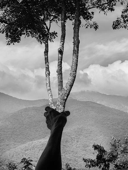 Halfway Up Mt.Mitchell, 2013 © Arno Rafael Minkkinen