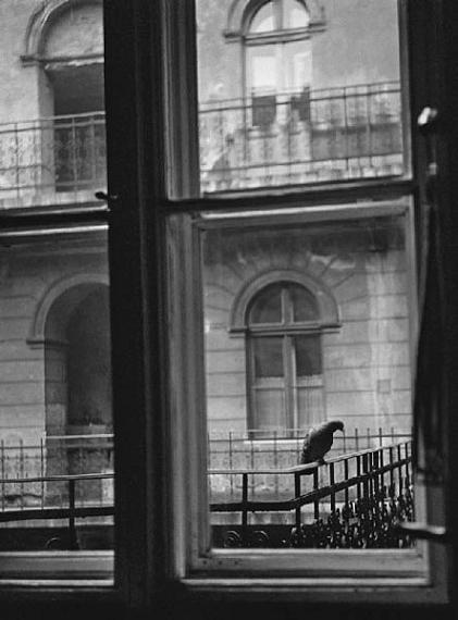 Péter Nádas
Hof in der Theresienstadt, Budapest, 1972
Gelatin silver print, signed
23,5 x 18 cm