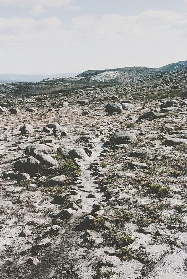 Lot 1RICHARD LONG"Marking the trail (a nine day walk in the Serra do Gerês/Sierra de Xurés, Portugal and Spain 2005)"Photograph and text on paperSigned and dated 2005 on the reverse114 x 89 cm