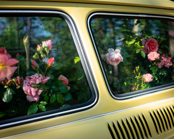CIG HARVEY	Roses (Yellow Car), 2020Archival Pigment Print 30” x 40” in. Limited Edition of 7© Cig Harvey, Courtesy Robert Klein Gallery