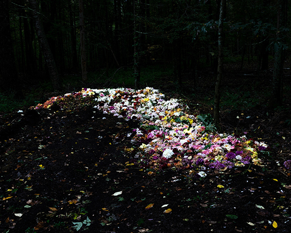 CIG HARVEY	The Compost Heap (2020)Archival Pigment Print 30” x 40” in. Limited Edition of 7© Cig Harvey, Courtesy Robert Klein Gallery