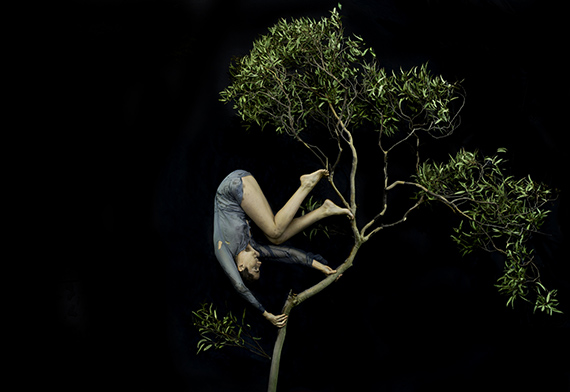 Tamara DEANTumbling through the treetops  2020from the series High jinks in the hydrangeaspigment ink-jet print&nbsp;110 x 160.0 cmMonash Gallery of Art, City of Monash Collectiondonated by Tamara Dean 2022MGA 2022.34courtesy of the artist and Michael Reid Gallery (Sydney + Berlin)