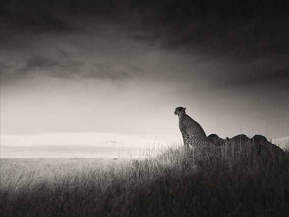 Silence I, Tanzania 2022 © Joachim Schmeisser