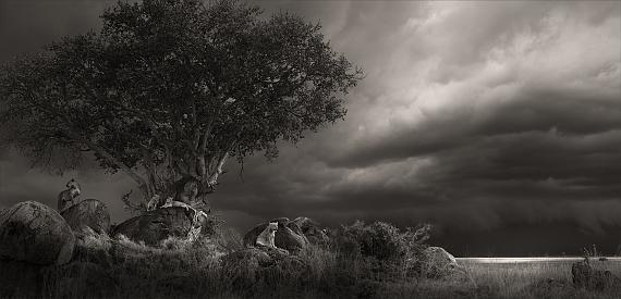 Shelter, Tanzania 2022 © Joachim Schmeisser