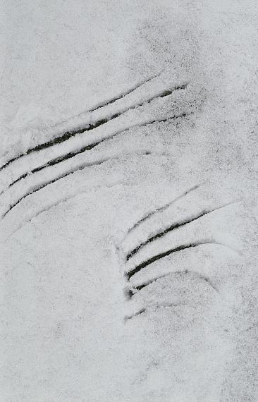 Charly Hall: Spuren I, 2020, 22 x 33 cm, Archival Pigmentprint on Baryta
