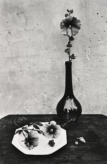JEAN-PIERRE SUDRERoses Trémie res, 1952, printed in the 1970ssilver gelatin print 30 x 40 cm