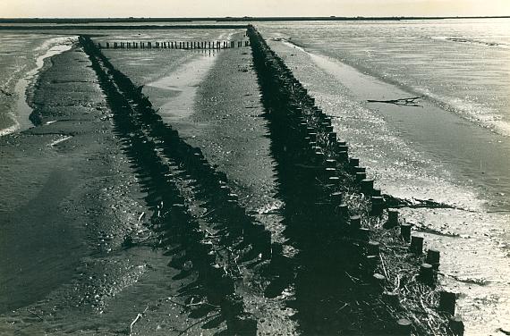 Fritz SchleiferLangeness, 1930s–40ssilver gelatin print, mounted on paper board16 x 23 cm 
© Marc Schleifer