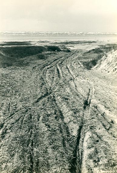 Fritz SchleiferFanö, 1930s–40ssilver gelatin print, mounted on paper board23 x 16 cm 
© Marc Schleifer