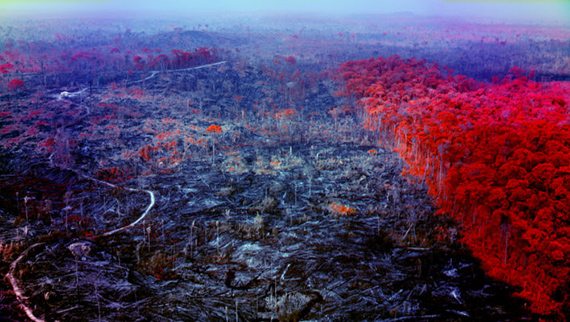 Richard Mosse, still from 