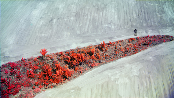 Richard Mosse, still from 