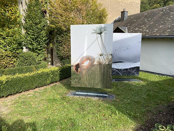 Exhibition view, Jardin du Brahaus, Liz Lambert © Cité de l’image