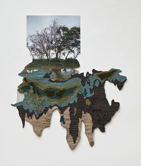 Ana Teresa Barboza, Reflejo del Algarrobo, 2023
Tapestry in cotton thread, sheep and alpaca,
dyed with natural dyes, embroidery
on digital photography on cotton paper
84 x 98 cm
Robert Mann Gallery