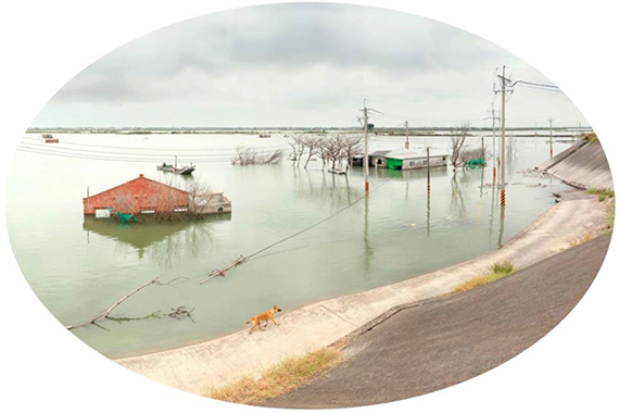 The Submerged Beauty of Formosa - Part II of “The Island Project” © Yang Shun-fa